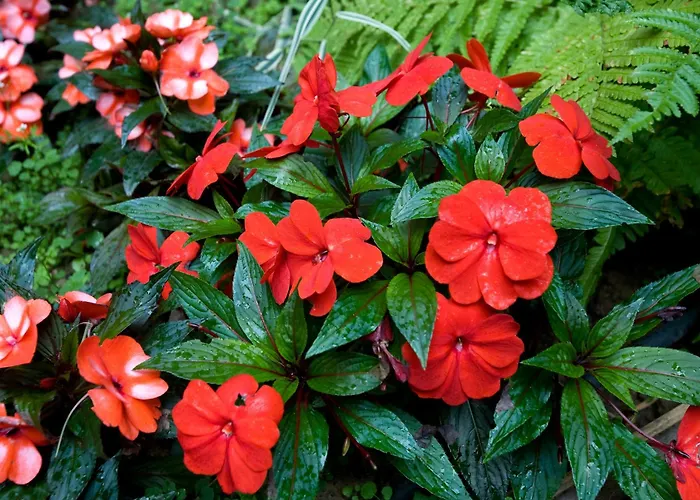 Dièse Bastille Hotel